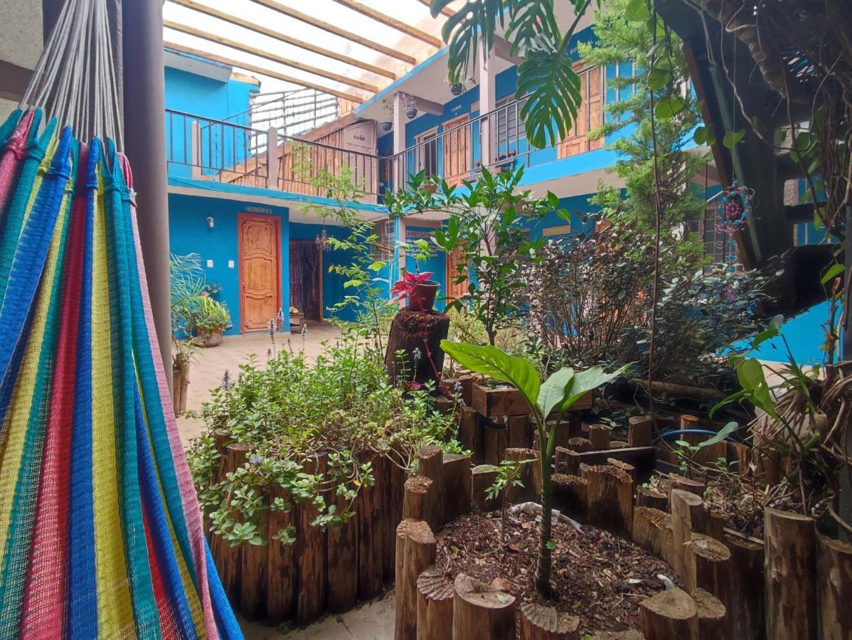 Hostal Ikal San Cristóbal de Las Casas Exterior foto